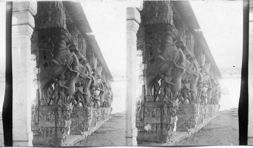 Hall of horses in Temple of Sri Rangam at Trickinopoly. India