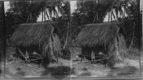 The Poor Man's Cottage, Philippines