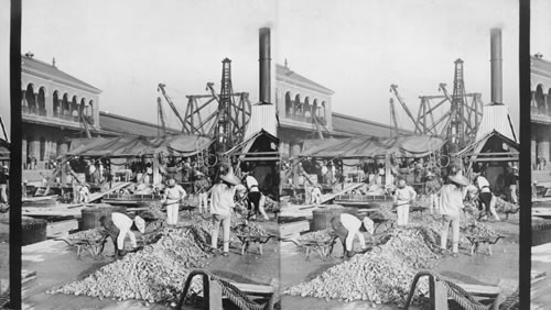 Natives working on the dock at Tampico, Mexico