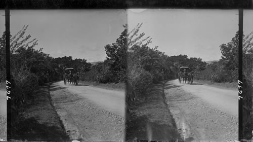 A fine Jamaican road, Jamaica