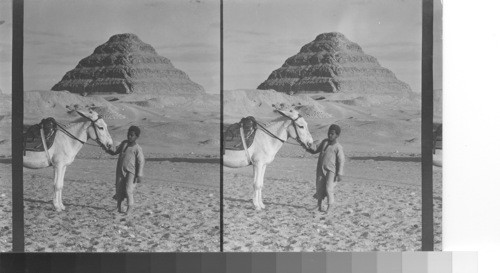 The Step Pyramid. Saqqarah. Egypt