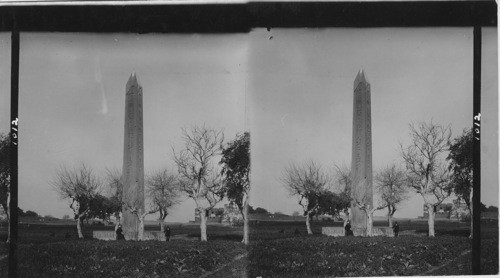 The Obelisk at Heliopolis, Egypt