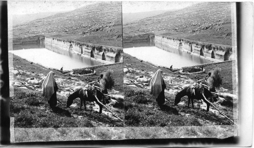 Greatest of King Solomon’s Pools - bear Bethlehem. Palestine