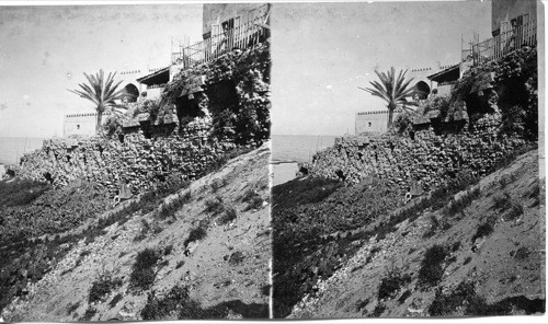 Section of the Old Wall, Jaffa, Palestine