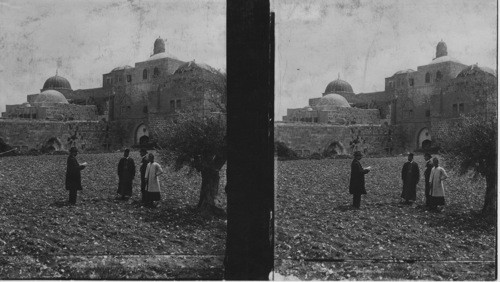 Tomb of David, Jerusalem Palestine