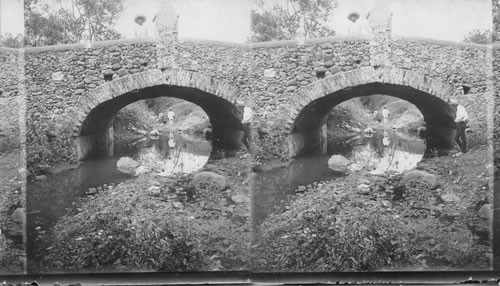 Where the brook runs under the old stone bridge - roadside near Amatlan. Near Cordoba. Mexico