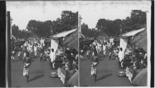 Native Merchants and Customers at Stalls of a Great Meta (Fair) Tallegunge, near Calcutta, India