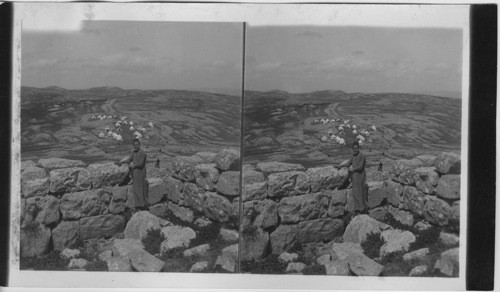 Samaritan Camp on Mt. Gerizin, seen from walls of the old Samaritan Temple