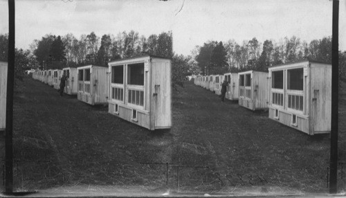 Egg lying contest houses, Experimental Farm near Charlottetown, Prince Edward Isle