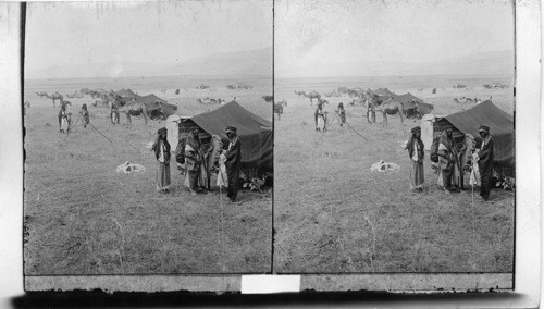 Shechem S. W. from Mount of Olives. Palestine. Bedouin Camp