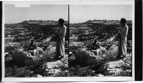 Gezer from N.W. Site of Canaanite and Maccabean Forts