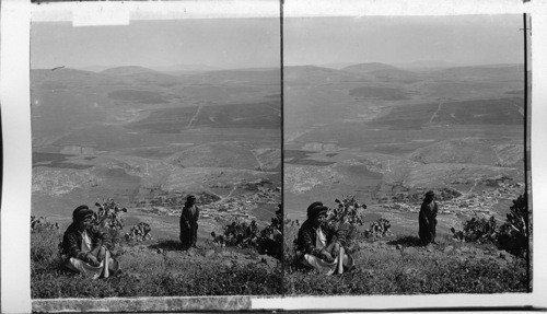 N. From Gilboa over Jezreel Plain, Palestine