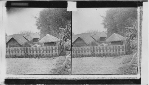 Tiger Fence encompassing a village in Behar Jungle. India