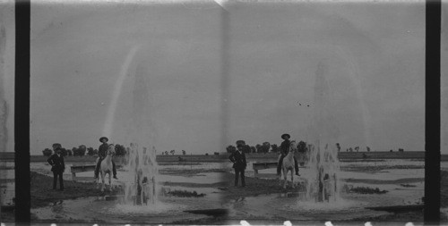 Great Flowing Artesian Well on the D & R.G.R.R., Colo