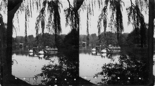 Swan Boats, Central Park, N.Y