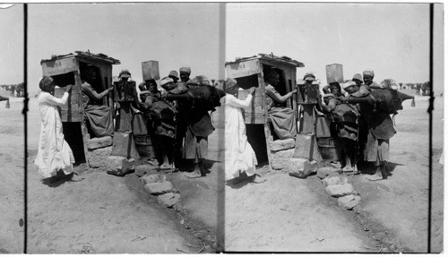 Water Carrier, Alexandria, Egypt