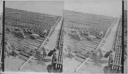 Rafts on the Euphrates River, Mesopotamia