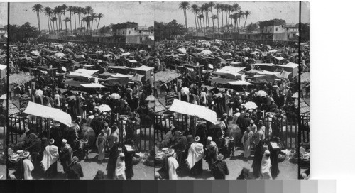 Entrance to the general wares section. The great market, Giza. Egypt