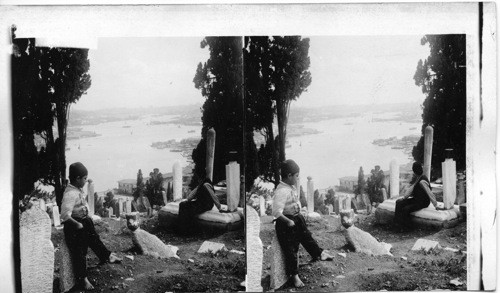 Golden Horn, S. E. from suburban Eyub toward Constantinople’s domes and towers. Turkey