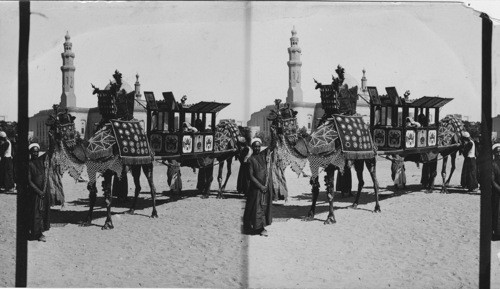Arab wedding Carriage, Cairo, Egypt