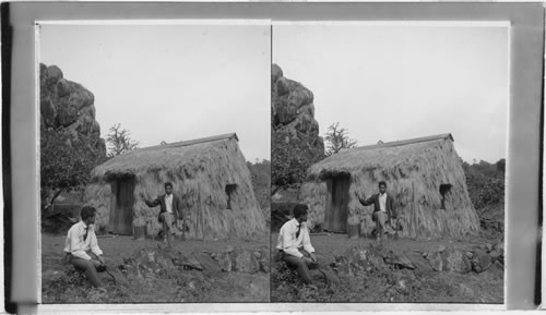 A Typical Native Grass Hut, Hawaii