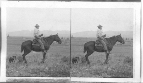 Horse Ranchman - Alberta. Canada