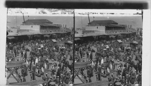 The Bazaar of Jaffa. Palestine