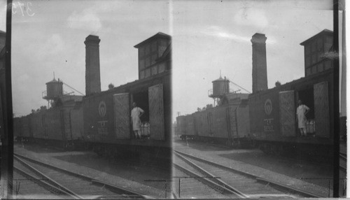 Cars loaded for Toronto City Dairy Co., of Toronto, Ont