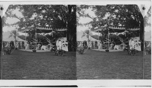 T. R. H. at Garden Party, Government House. Madras. India