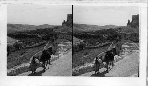 Looking up the valley of Hinnom near Jerusalem