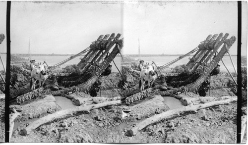 Irrigation on the Euphrates. Mesopotamia, Asia