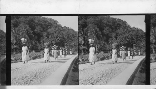 On the way to market, Jamaica. West Indies