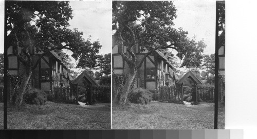 Ann Hathaway's cottage from apple orchard. Shottery, Eng