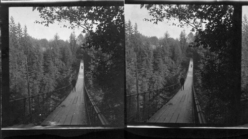 Suspension Bridge, Capilino Canyon. Vancouver, B.C