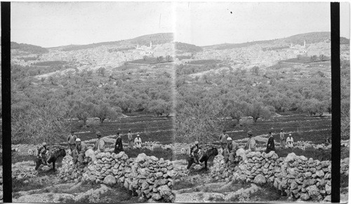 Hebron, the home of Abaham, Isaac and Jacob from the East. Palestine