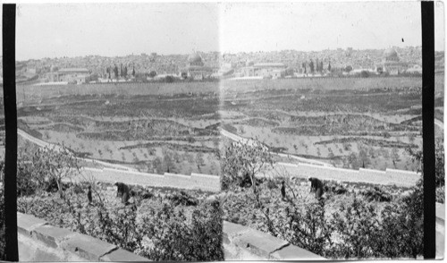 Jerusalem from Mt. of Olives, Palestine