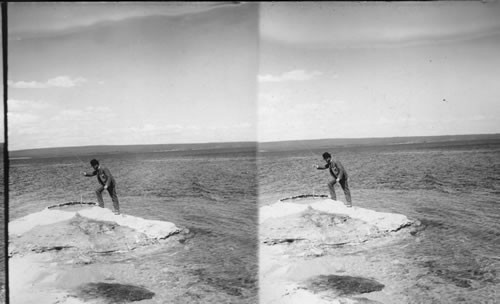 Fishing at Lake Cooking Trout in Boiling Spring. The Trout Just Caught, Y.N.P. Wyoming. (Obsolete. This isn't done anymore.)