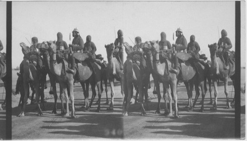 Camel Cavalry in coated mail - bikanner, India. N.W. Indian Union