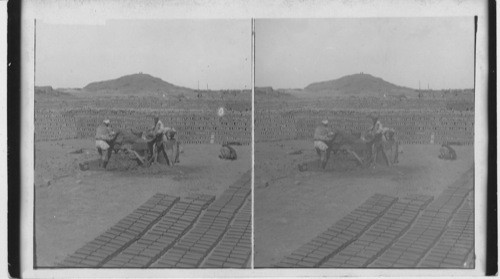 Brick Making. Sakkara. Egypt