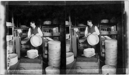 Curing Room of a Cheese Factory. East Aurora, N.Y