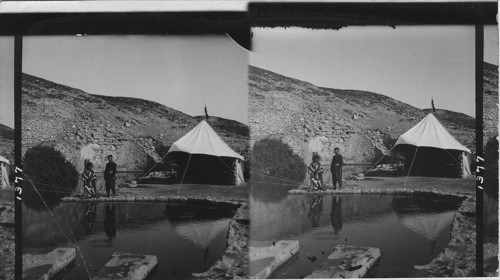 Elisha’s Fountain, Jericho, Palestine