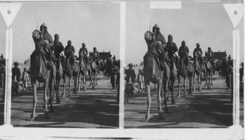 Camel Cavalry in coated mail. Bikaner, India