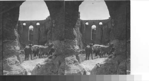 Ronda, Spain. Bridge across the Guadalevin, Ronda