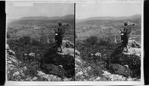 The Hill Country of Ephraim. Looking N.W. from near Bethel. Palestine