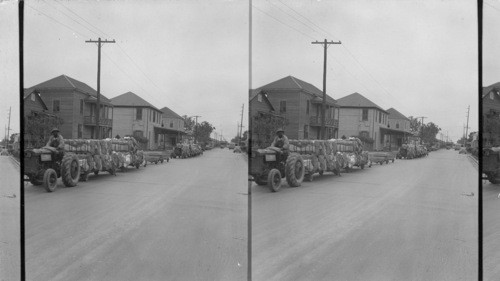 Hauling Cotton to Compress Plant, Galveston, Texas