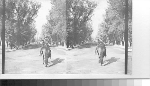 Mounted Guard in Chapultepec Park. Mexico City. Mexico