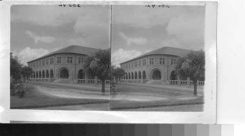 History building Leland Stanford University. Yucca palm on right-hand