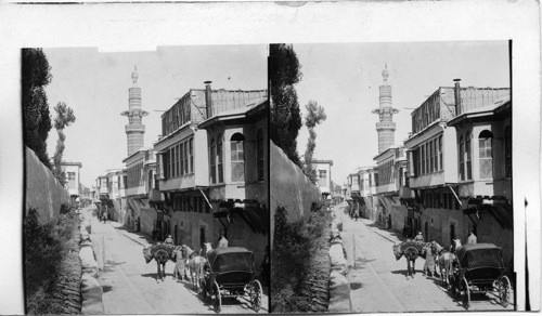 Street of the Palace Damascus, Syria