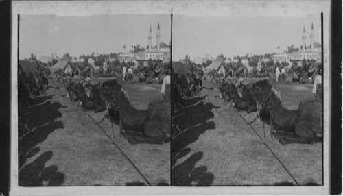 A Caravan Camp at Old Damascus, Syria