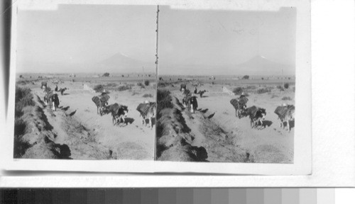 A Mexican Country Scene - looking west from Puebla to Popocatapetl. Mexico